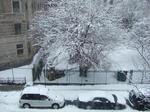 snow.jpg